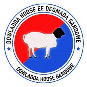 Dawladda Hoose Ee Degmada Garoowe - Somali Contractors