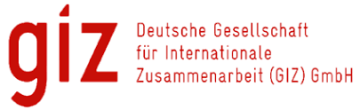 Deutsche Gesellschaft für Internationale Zusammenarbeit (GIZ)